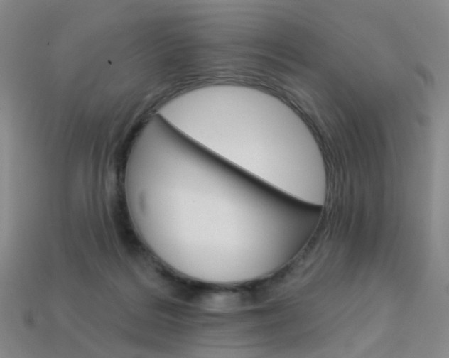 X0000114100220200910051237