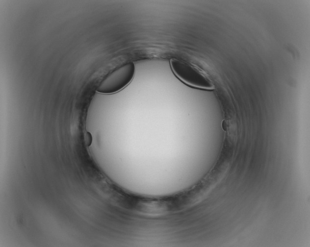 X0000114100221200910051237