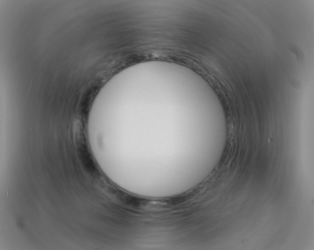 X0000114100222200910051237