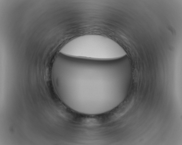 X0000114100224200910051237