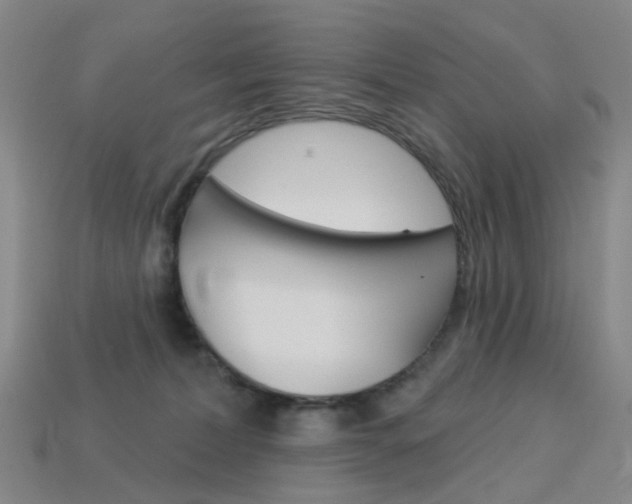 X0000114100228200910051237