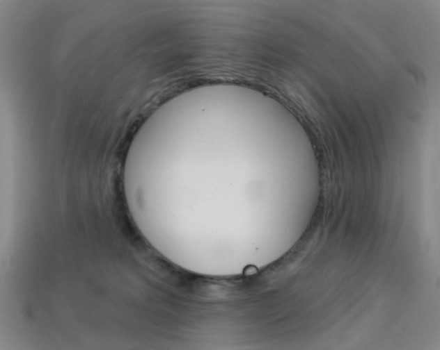 X0000114100229200910051237