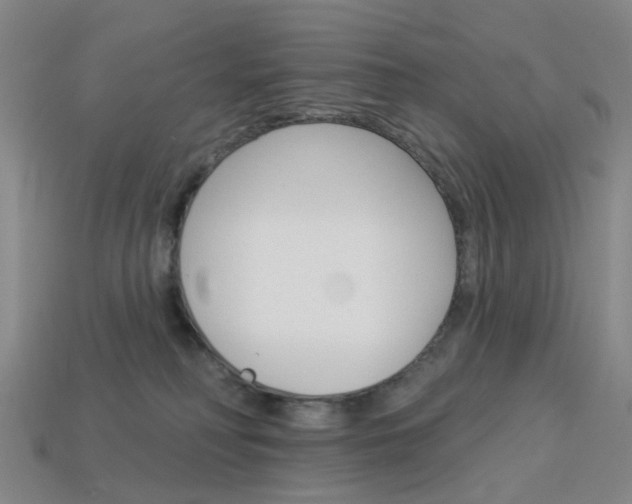 X0000114100230200910051237