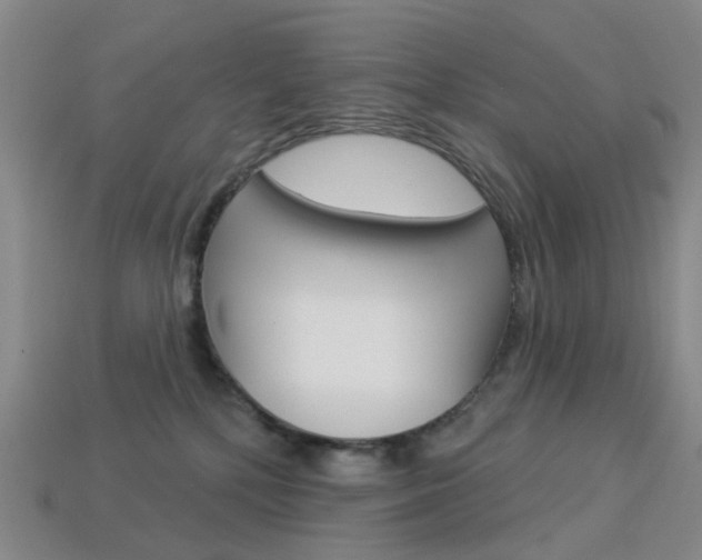 X0000114100232200910051237