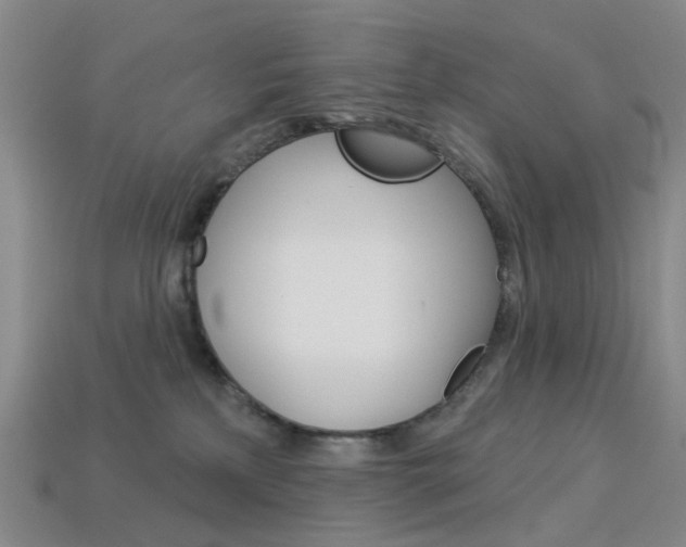 X0000114100233200910051237