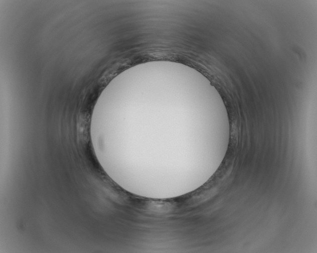 X0000114100234200910051237