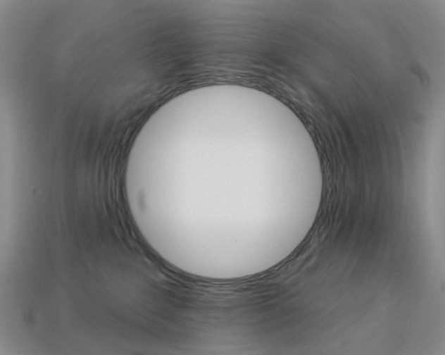 X0000114100235200910051237