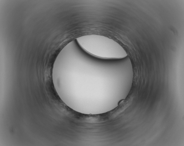 X0000114100236200910051237