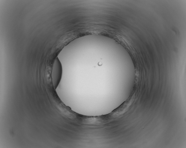 X0000114100237200910051237