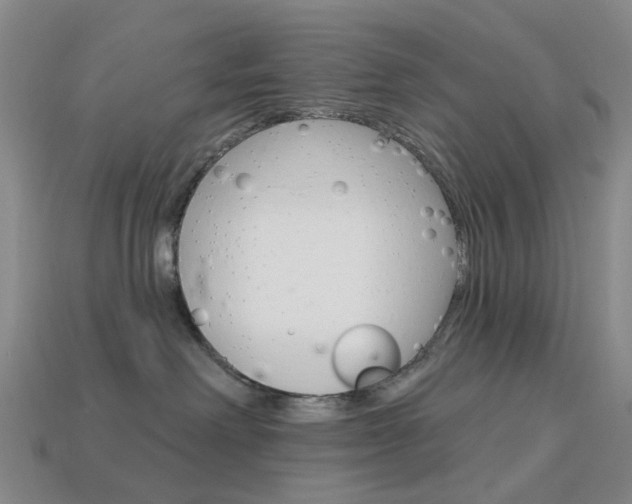 X0000114100238200910051237