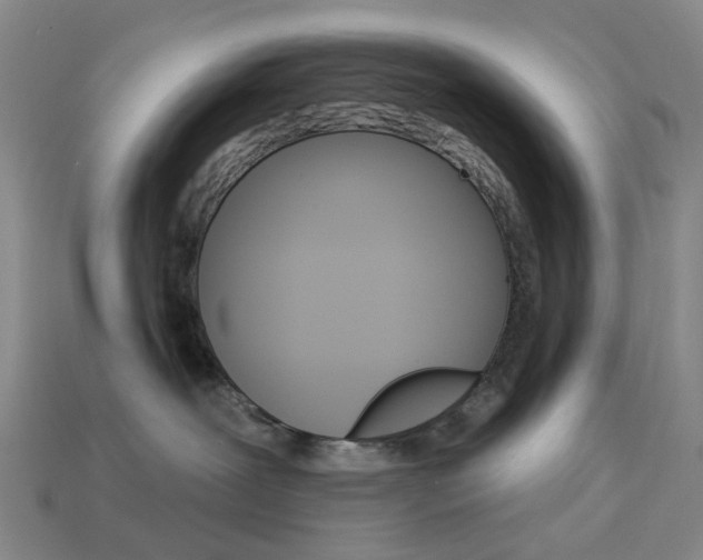 X0000114100239200910051237