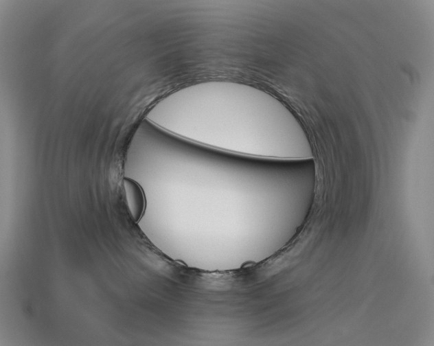 X0000114100240200910051237