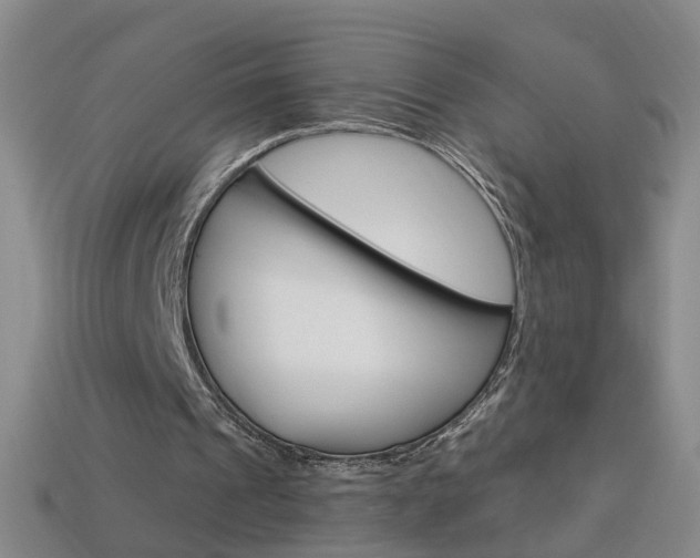 X0000114100241200910051236