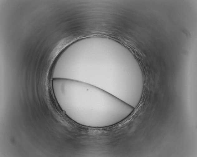 X0000114100242200910051236