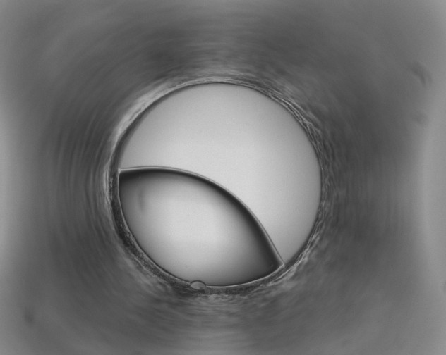 X0000114100244200910051236