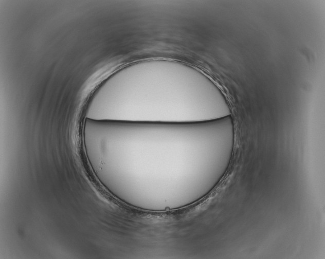 X0000114100245200910051236