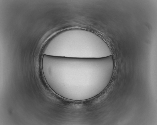 X0000114100247200910051236