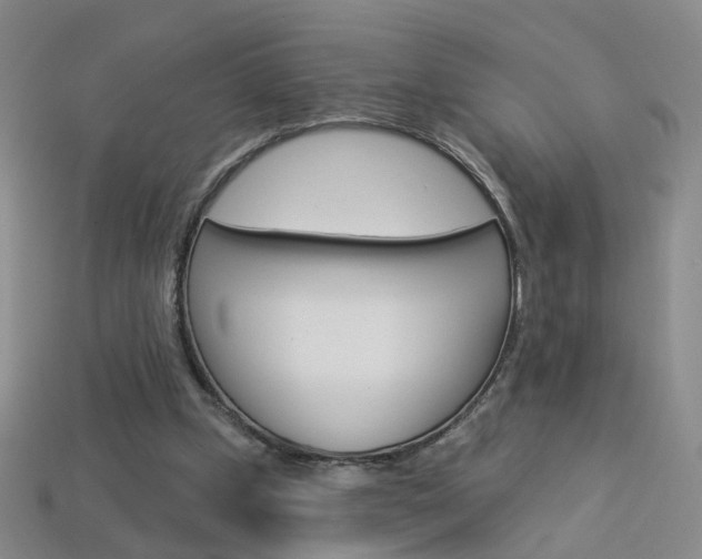 X0000114100249200910051236