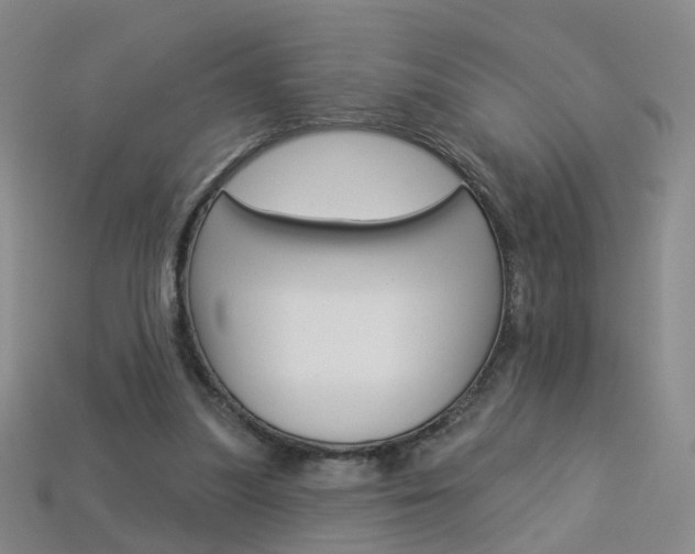 X0000114100251200910051236