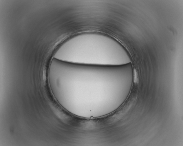 X0000114100253200910051237