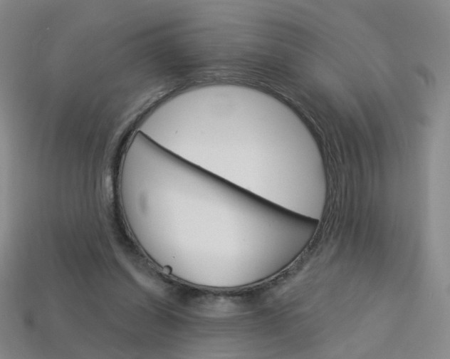 X0000114100254200910051237