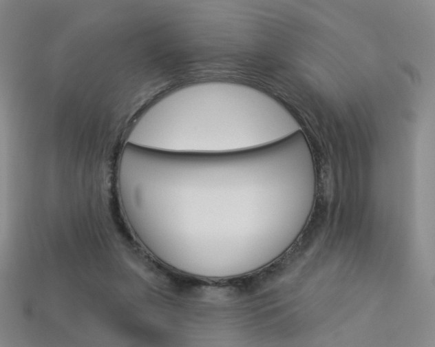 X0000114100255200910051237