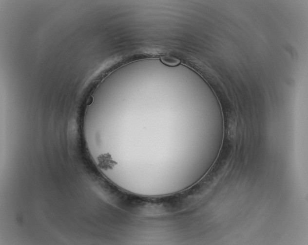 X0000114100256200910051237