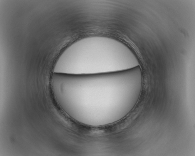 X0000114100257200910051237