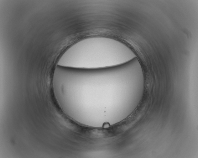 X0000114100261200910051237