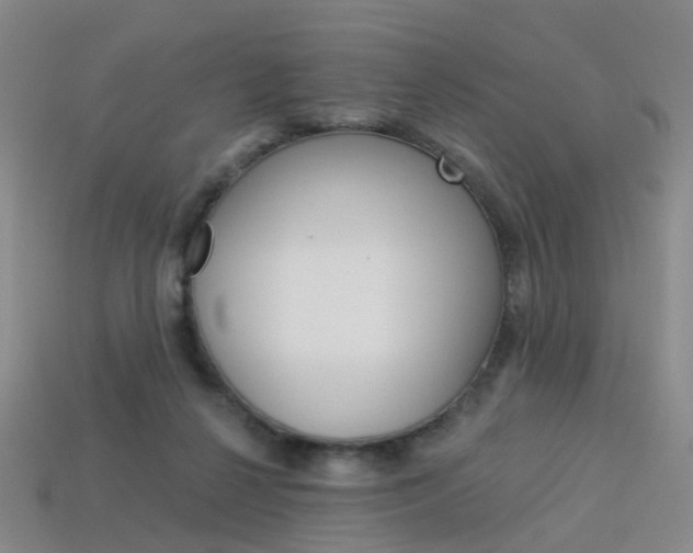 X0000114100264200910051237