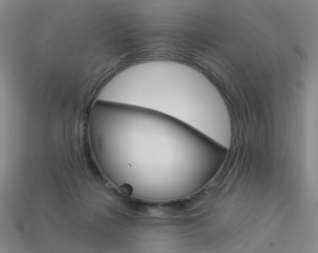 X0000114100268200910051237