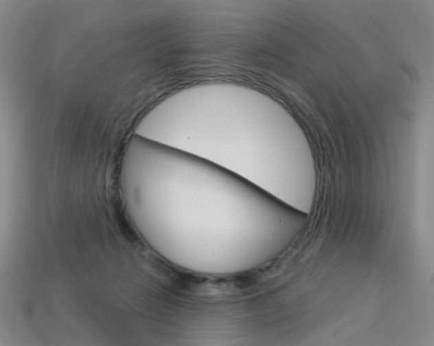 X0000114100270200910051237