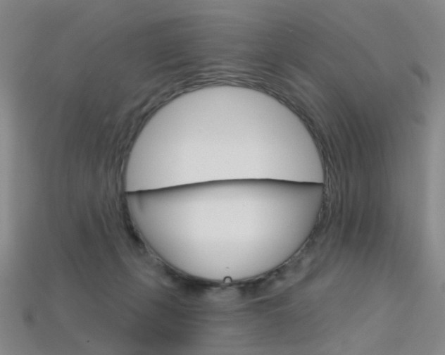 X0000114100271200910051237