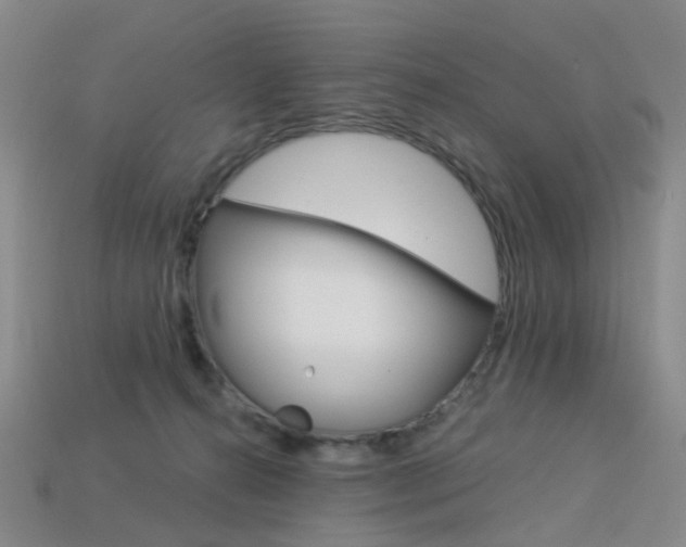 X0000114100272200910051237