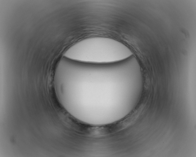 X0000114100273200910051237