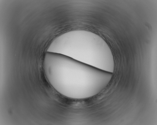 X0000114100274200910051237