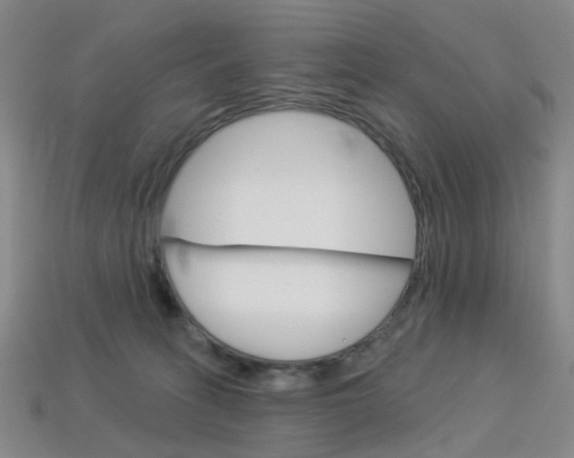 X0000114100275200910051237