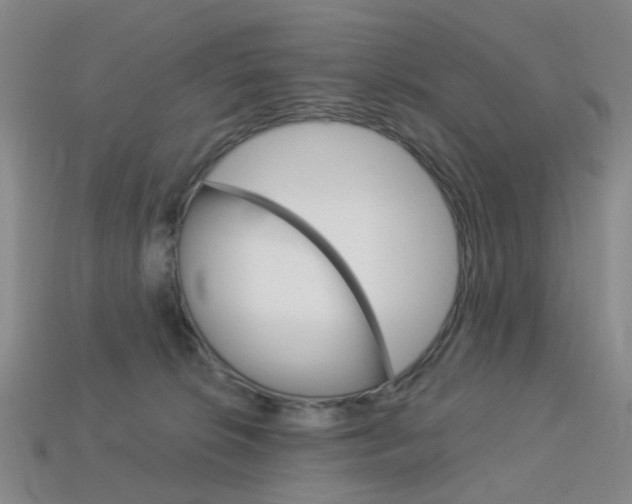 X0000114100276200910051237