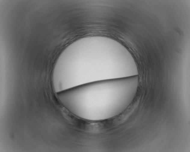 X0000114100277200910051237