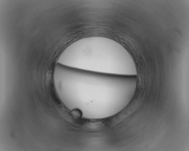 X0000114100278200910051237