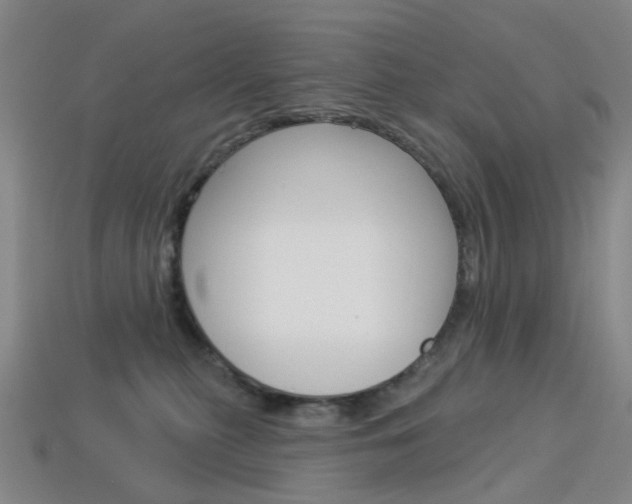 X0000114100279200910051237