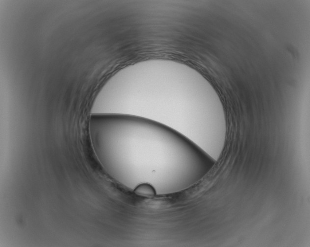 X0000114100280200910051237