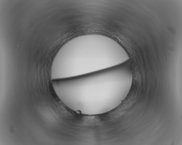 X0000114100281200910051237