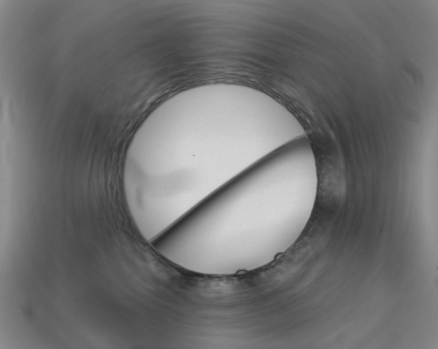 X0000114100282200910051237