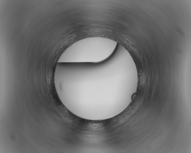 X0000114100283200910051237