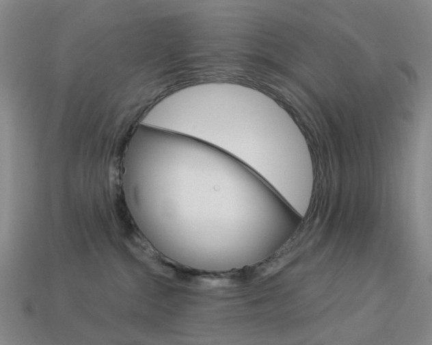 X0000114100284200910051237