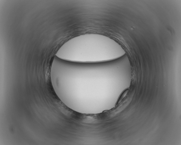 X0000114100285200910051237