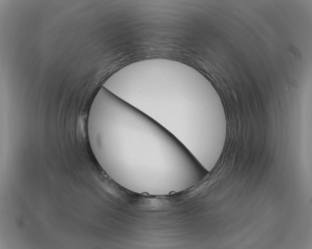 X0000114100286200910051237