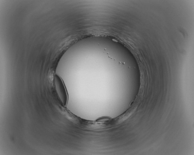 X0000114100288200910051237