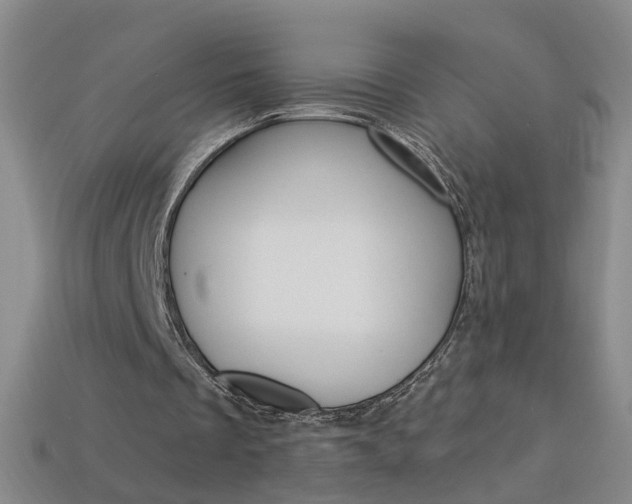 X0000114100289200910051236